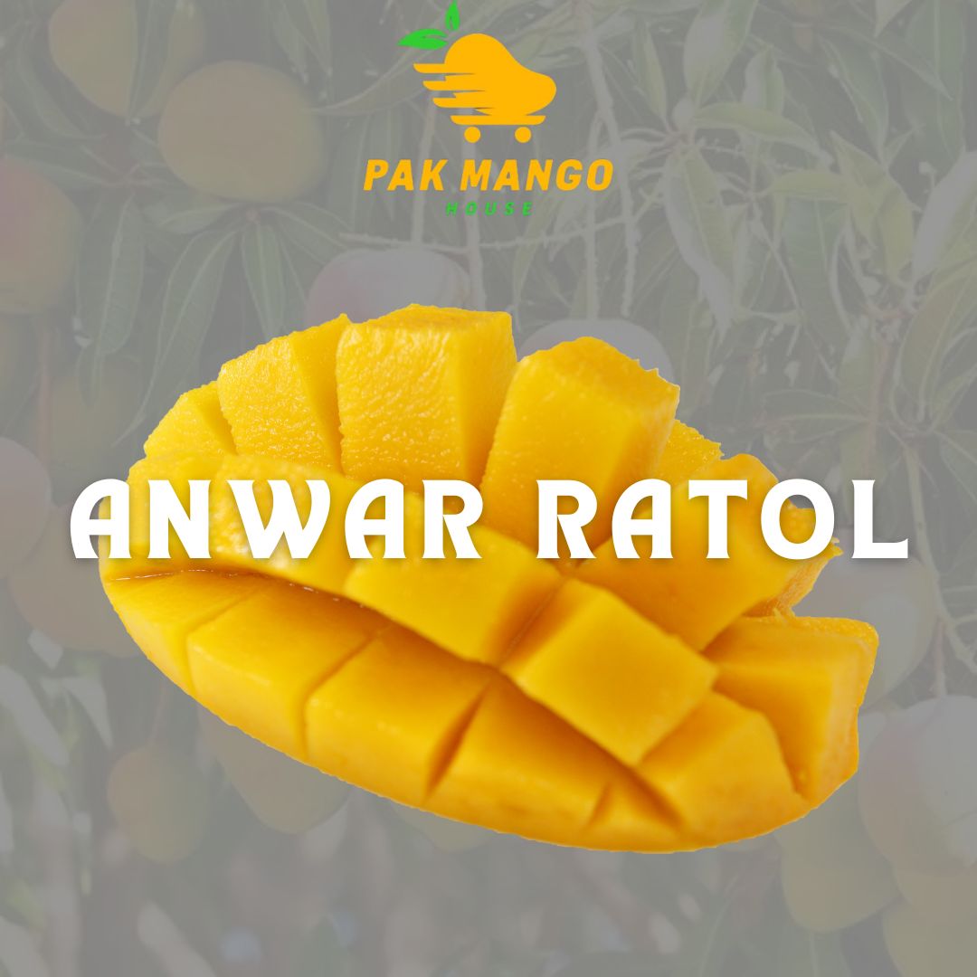Anwar Ratol